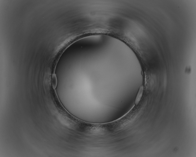 X0000091540348200708241738