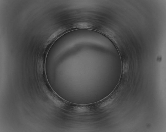 X0000091540349200708241738