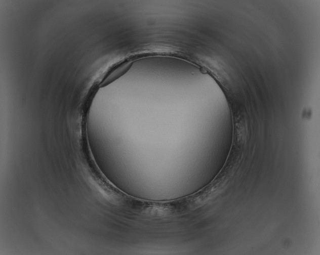X0000091540350200708241738