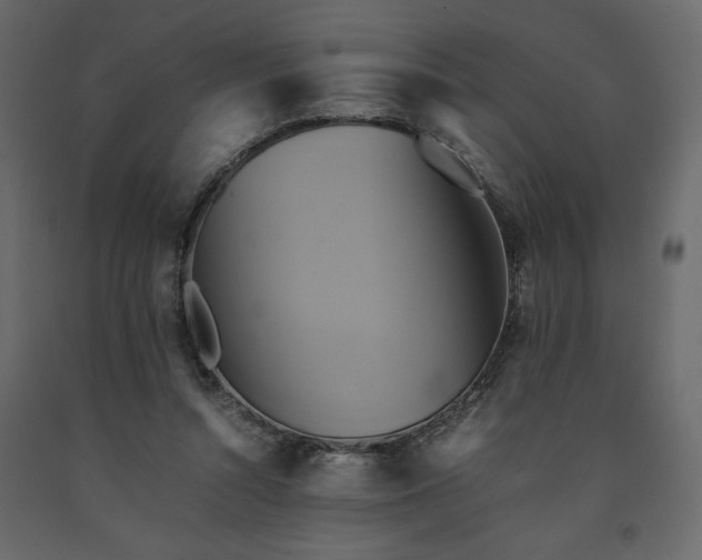 X0000091540352200708241738
