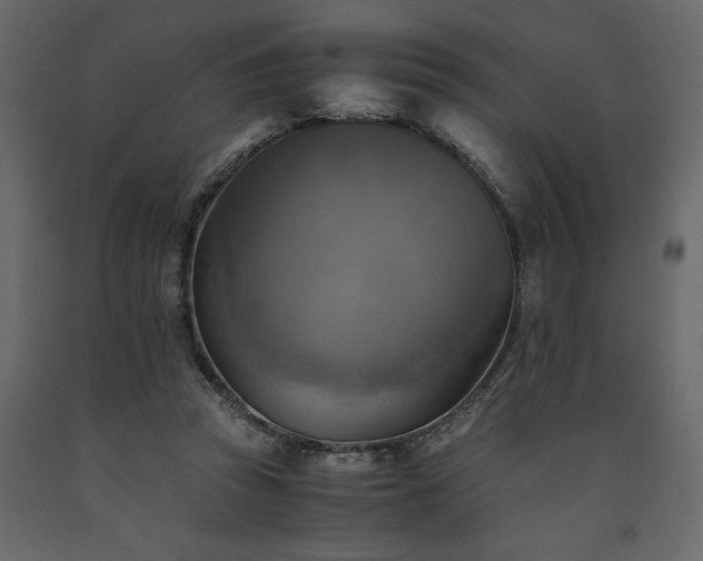 X0000091540353200708241739