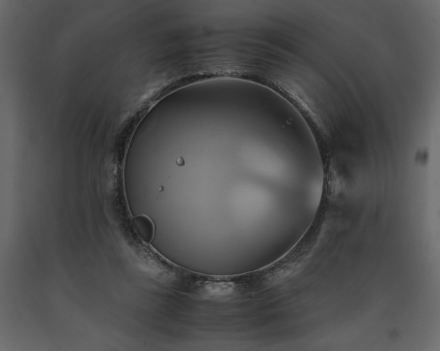 X0000091540355200708241739