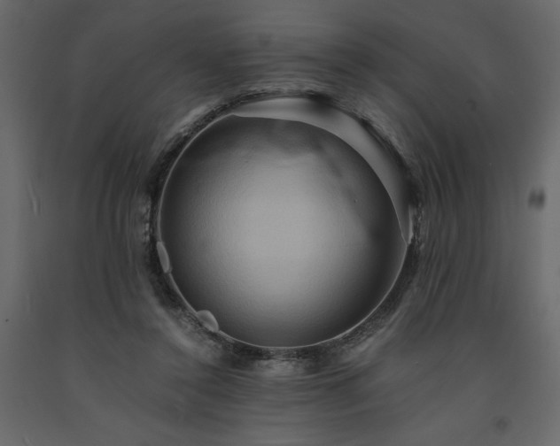 X0000091540356200708241739