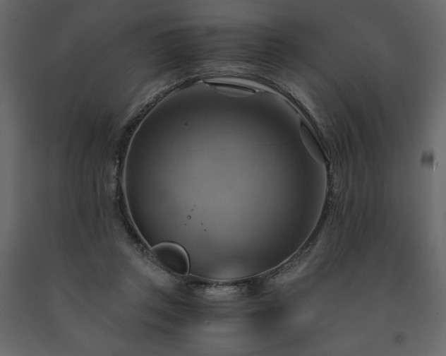 X0000091540357200708241739