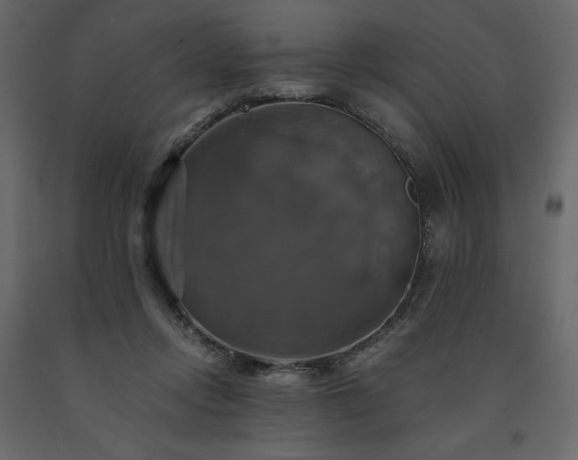 X0000091540358200708241739