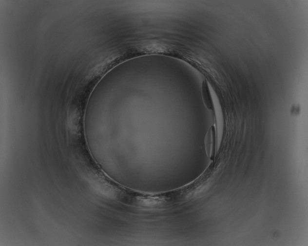 X0000091540359200708241739