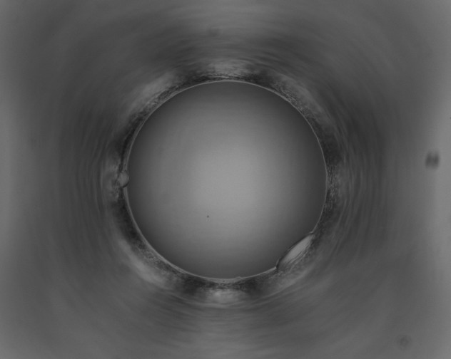 X0000091540360200708241739