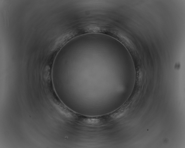 X0000091540361200708241739