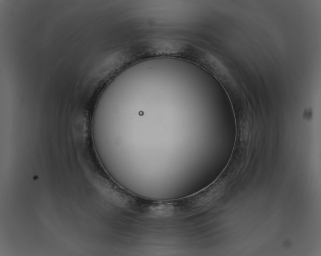 X0000091540362200708241739