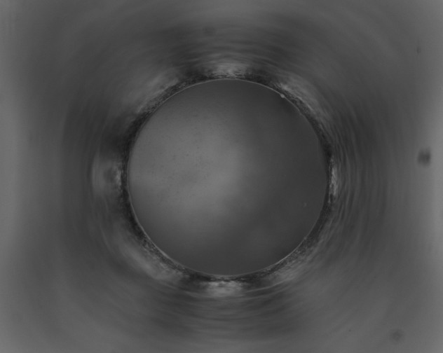 X0000091540363200708241739