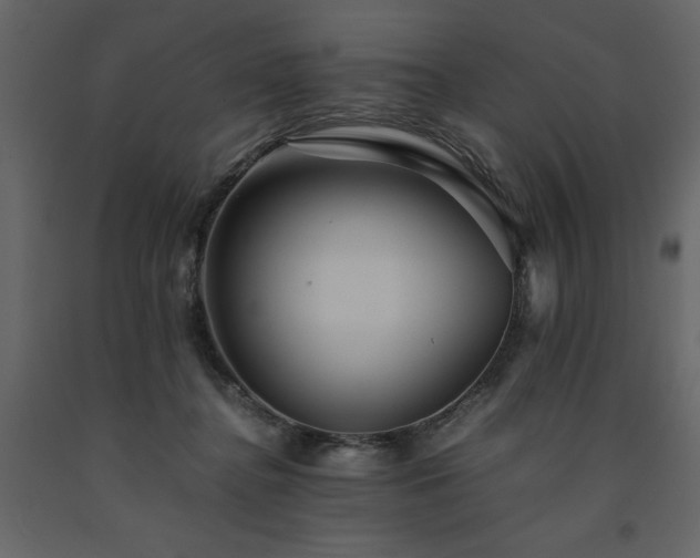 X0000091540364200708241739