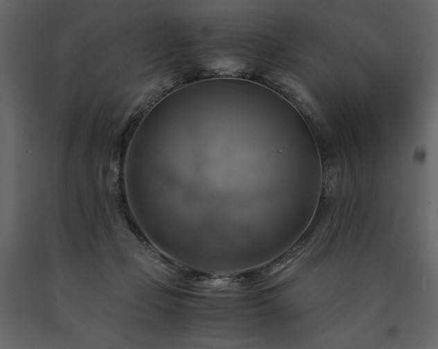X0000091540365200708241739