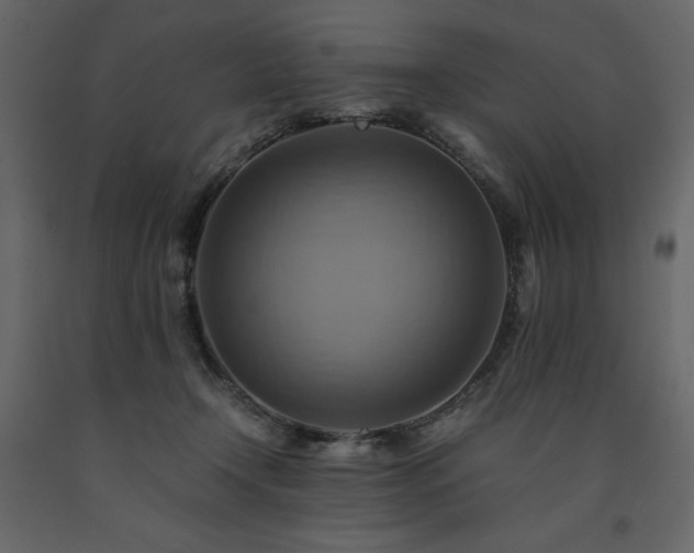 X0000091540366200708241739