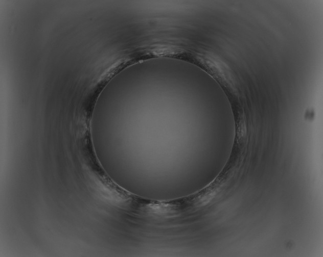 X0000091540367200708241739