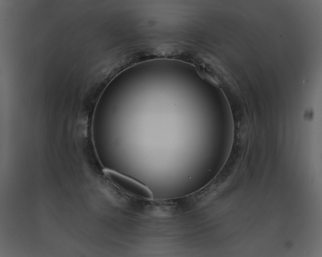 X0000091540368200708241739