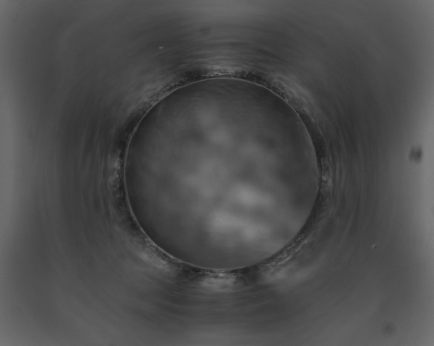 X0000091540369200708241739