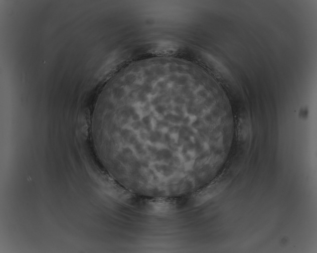 X0000091540370200708241739