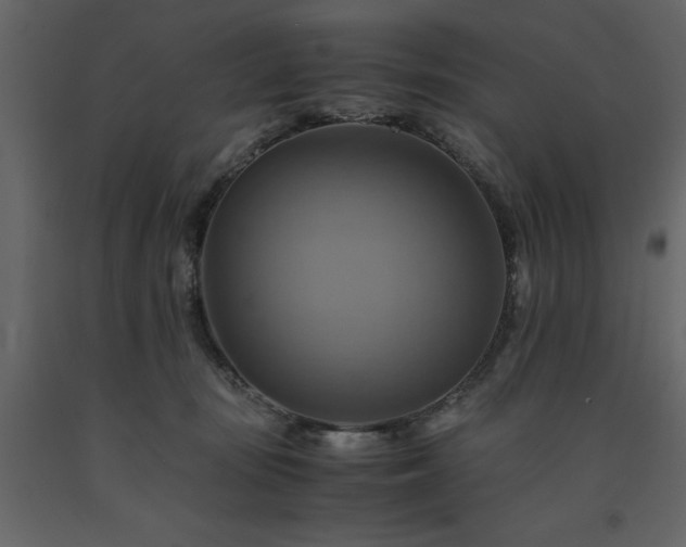 X0000091540371200708241739