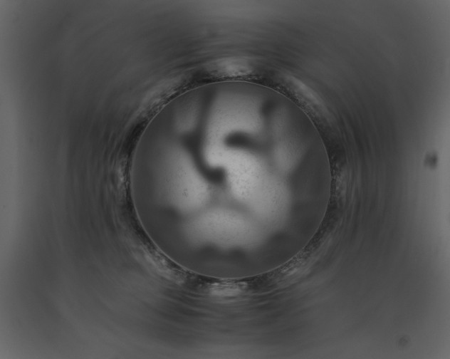 X0000091540373200708241739