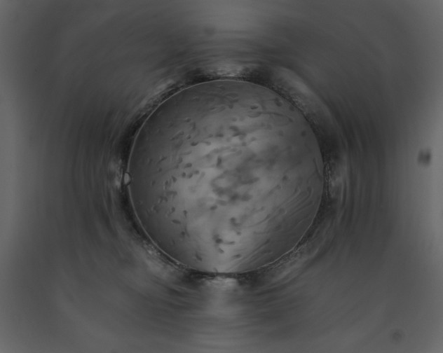 X0000091540374200708241739