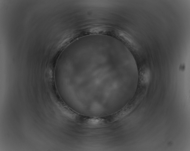 X0000091540375200708241739