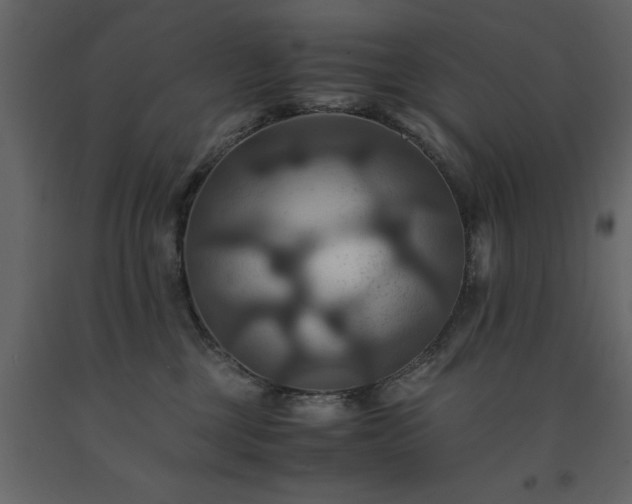 X0000091540377200708241739