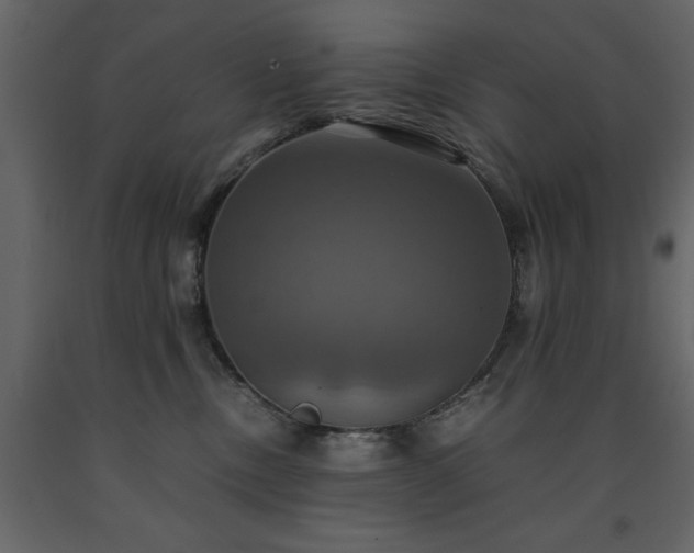 X0000091540378200708241739