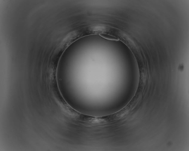 X0000091540379200708241739