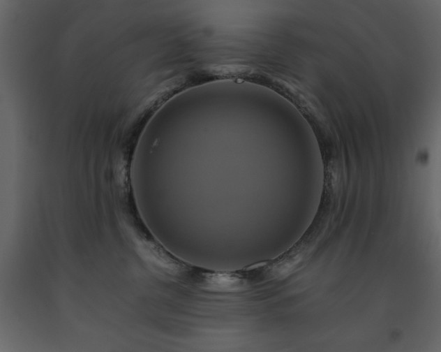 X0000091540380200708241739