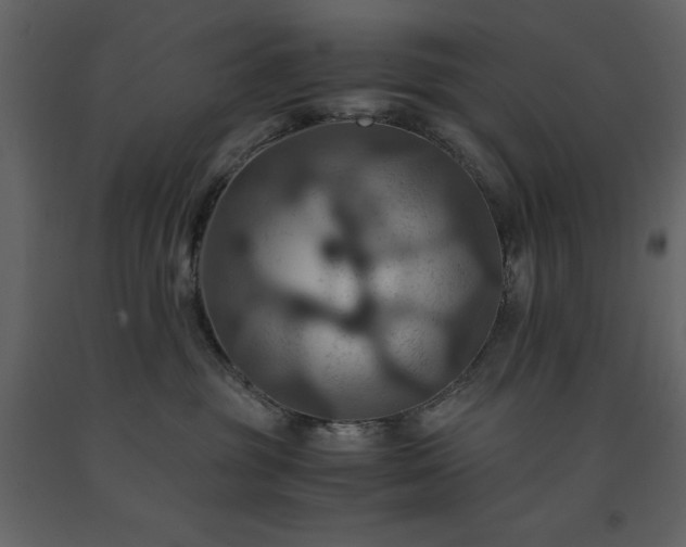 X0000091540381200708241739
