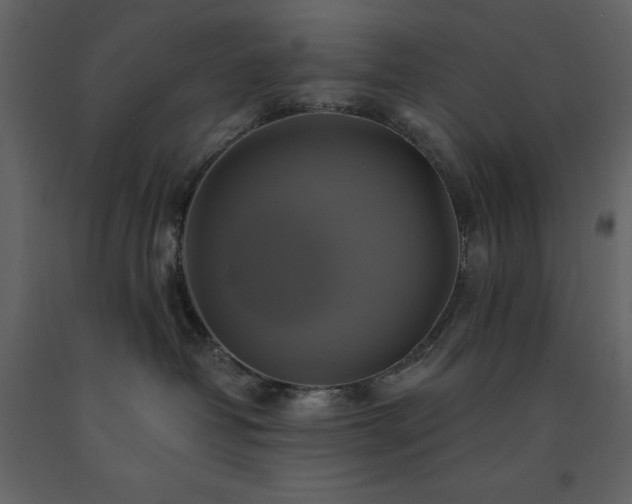 X0000091540382200708241739