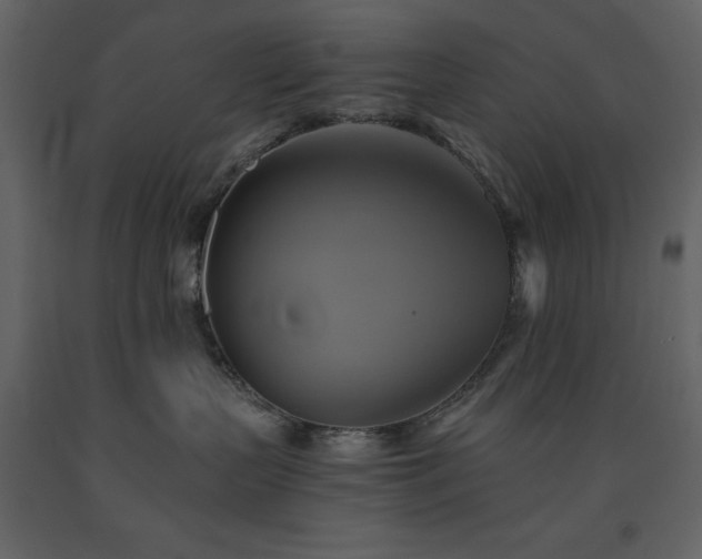 X0000091540383200708241739