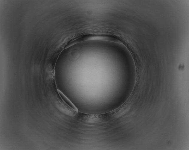 X0000091540384200708241739