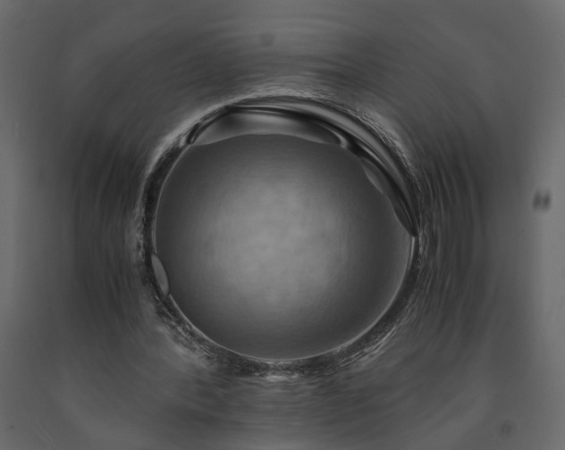 X0000091540388200708241738