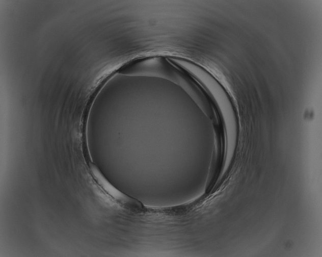 X0000091540389200708241738