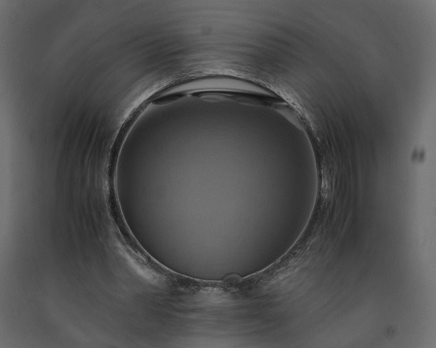 X0000091540390200708241738
