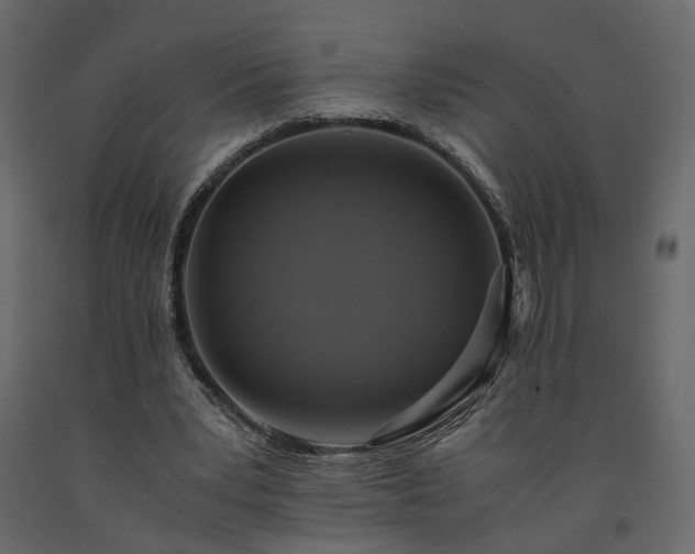 X0000091540391200708241738
