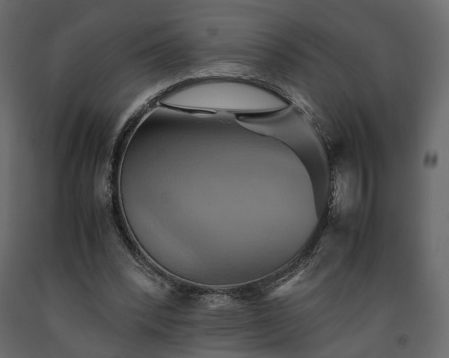 X0000091540392200708241738