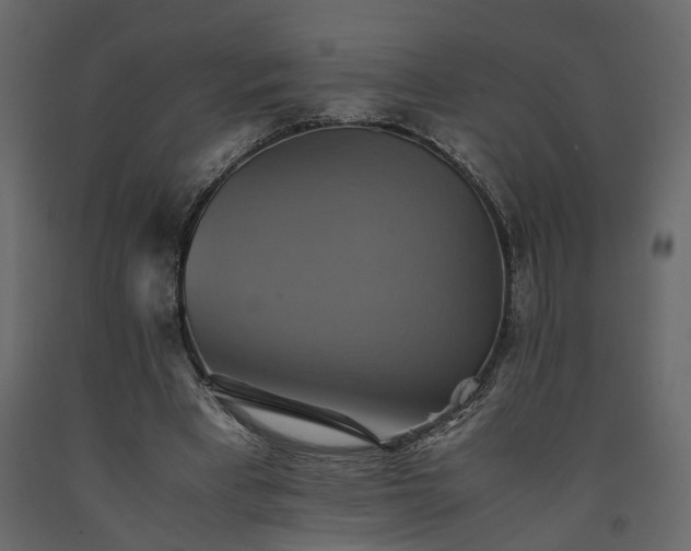 X0000091540393200708241738