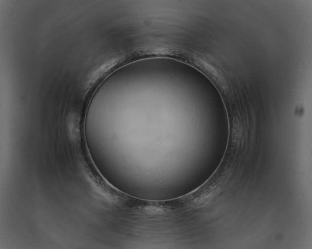 X0000091540394200708241738