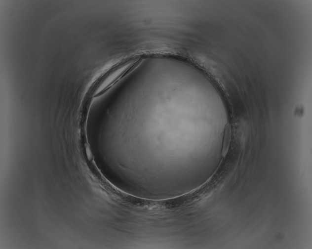 X0000091540395200708241738