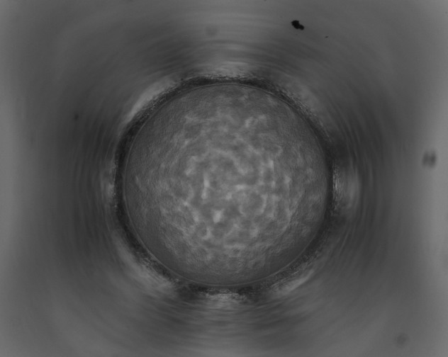 X0000091540396200708241738
