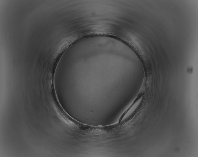 X0000091540397200708241738