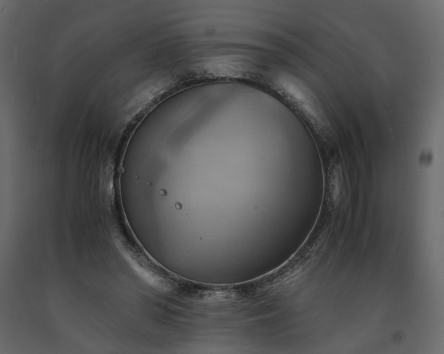 X0000091540398200708241738