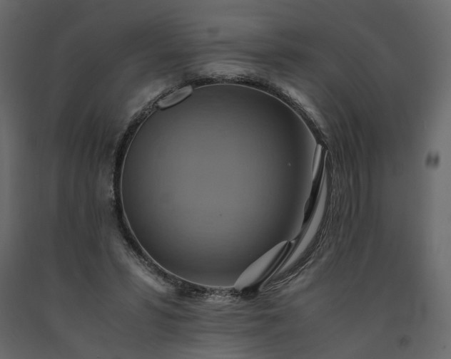 X0000091540399200708241738