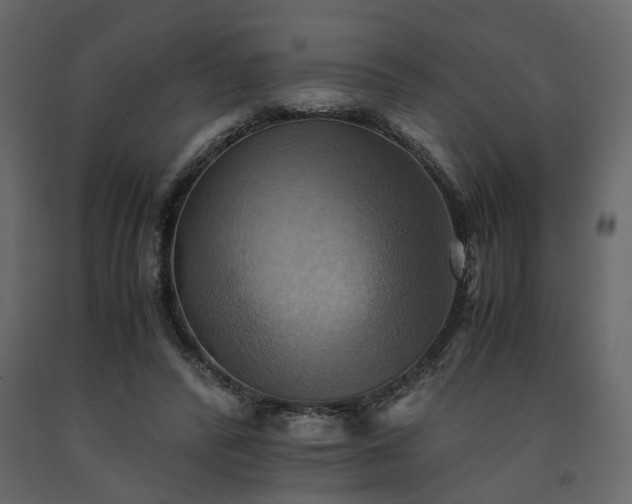 X0000091540400200708241738