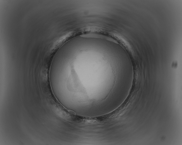 X0000091540401200708241738