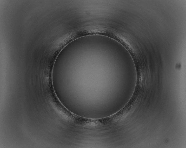 X0000091540402200708241738
