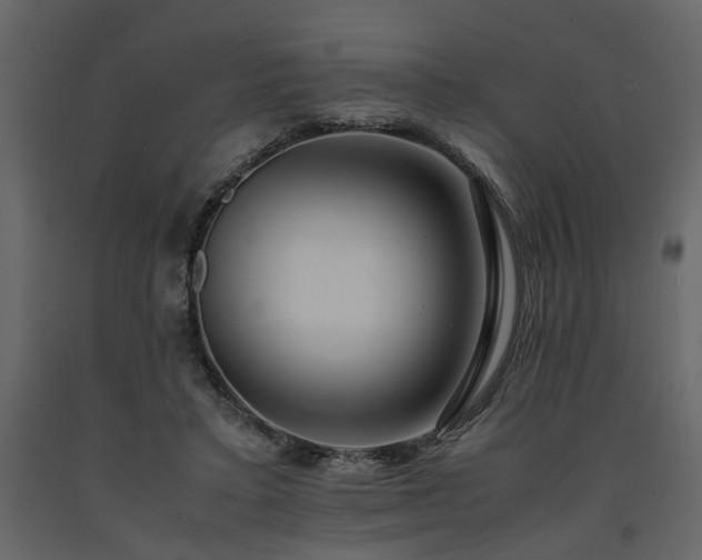 X0000091540403200708241738