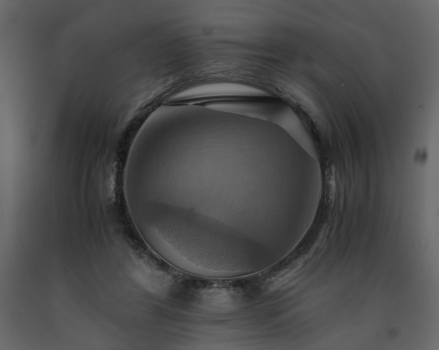 X0000091540404200708241738